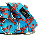 Lobster Festival - BigPawShop